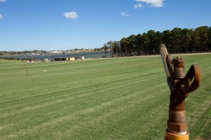 Joondalup Turf Farm in Perth - great variety of green lawns