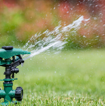 Lawn water restrictions