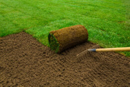 Tips to follow before installing your new lawn