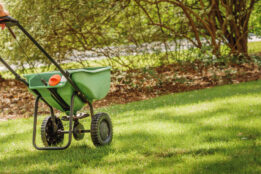 fertilising keeps your lawn healthy