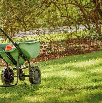 fertilising keeps your lawn healthy